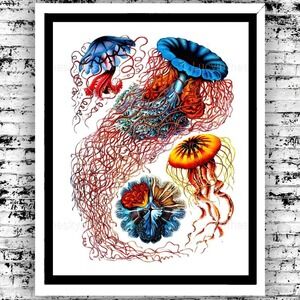 Jellyfish Nautical Science Illustration Bold Vivid Art Print 8.5x11"